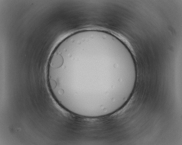 X0000111231231200907301239