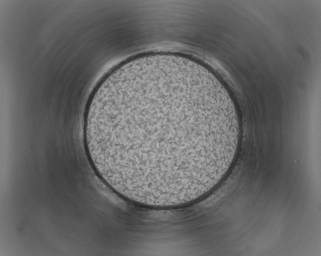 X0000111231232200907301239