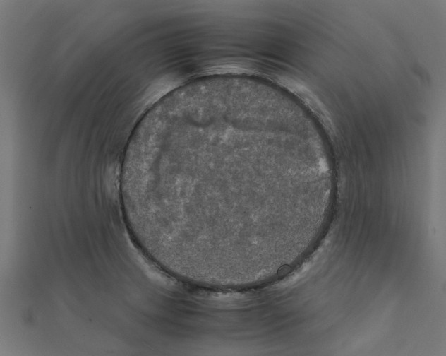 X0000111231233200907301239