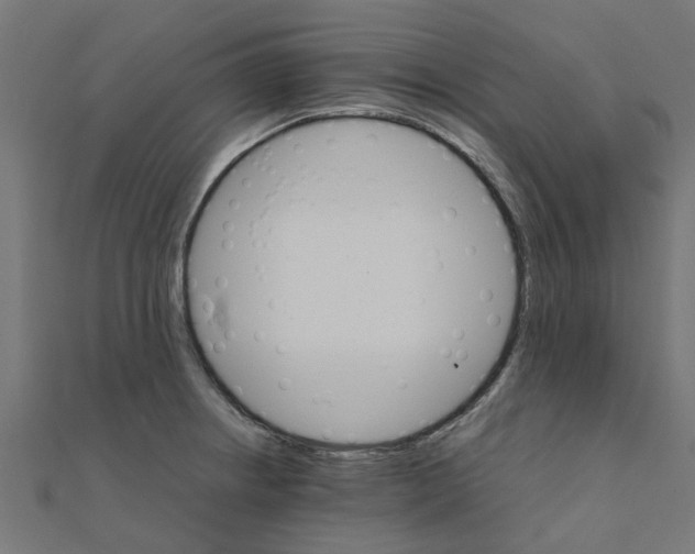 X0000111231234200907301239