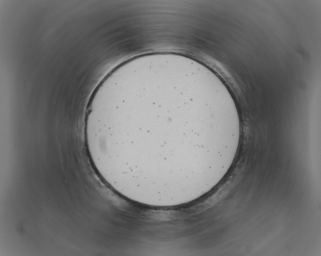 X0000111231236200907301239