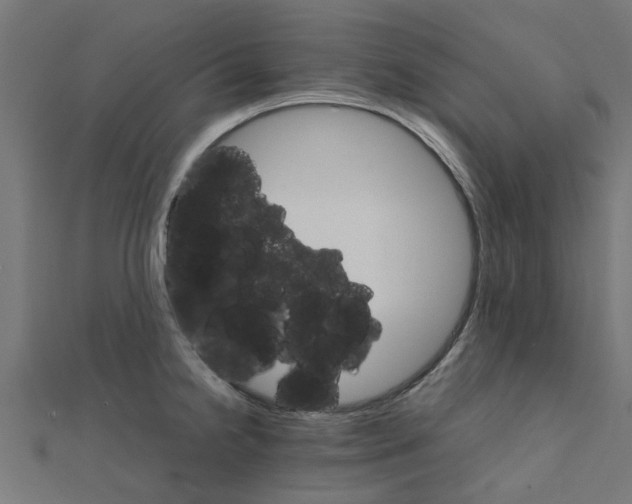 X0000111231238200907301239