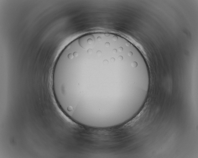 X0000111231239200907301239