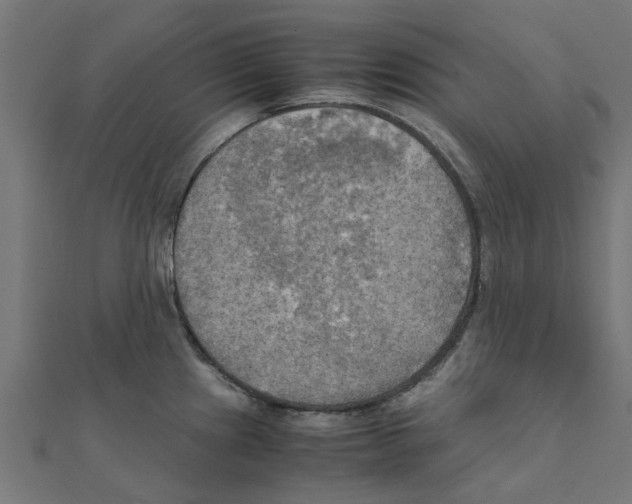 X0000111231241200907301239