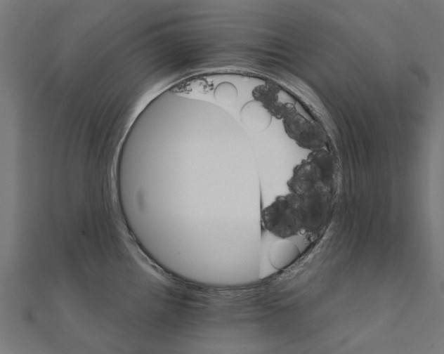 X0000111231242200907301239