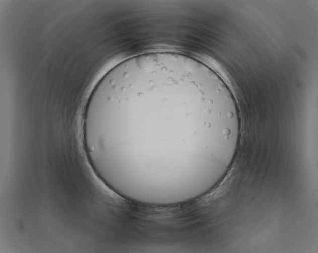 X0000111231243200907301239