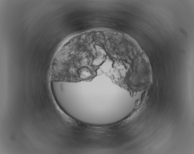 X0000111231245200907301240