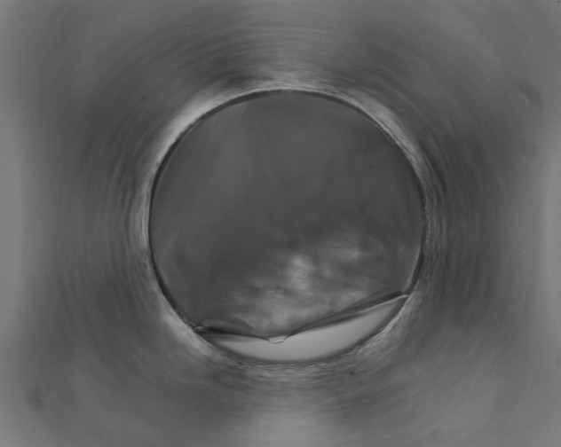 X0000111231246200907301240