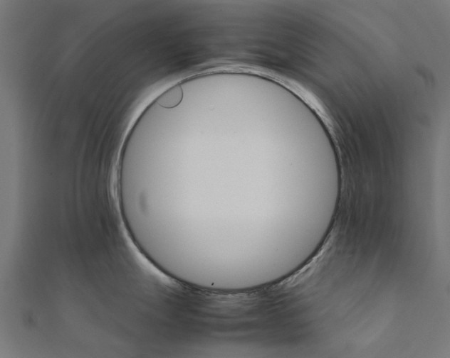 X0000111231247200907301240