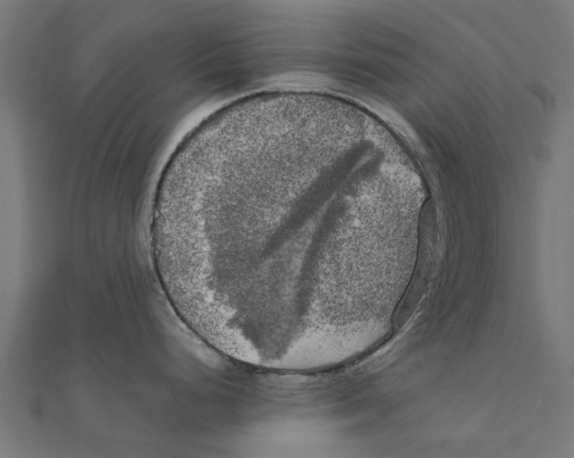 X0000111231248200907301240