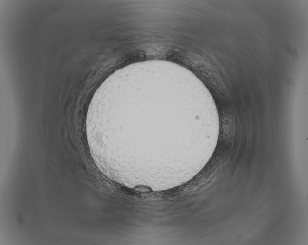 X0000111231249200907301239