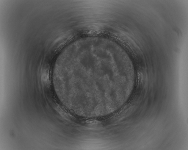 X0000111231250200907301239