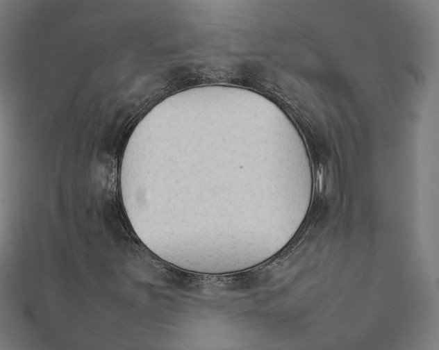 X0000111231251200907301239