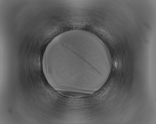 X0000111231252200907301239