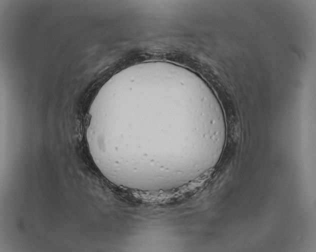 X0000111231253200907301239