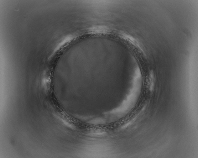 X0000111231254200907301239