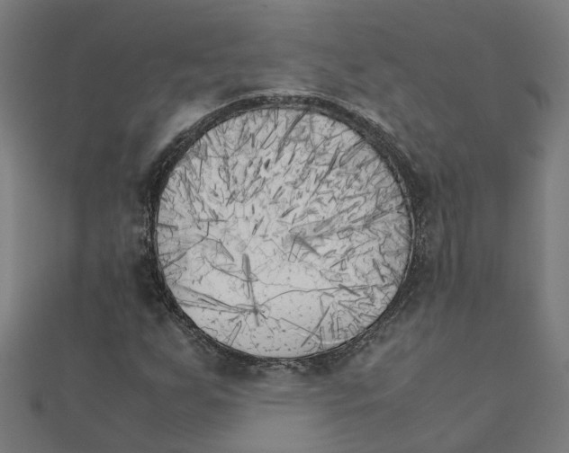 X0000111231255200907301239