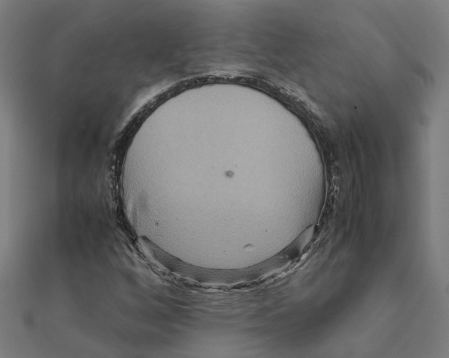 X0000111231256200907301239