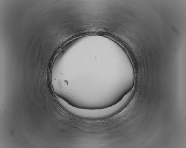 X0000111231257200907301239