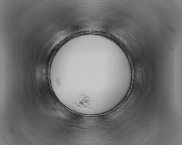 X0000111231258200907301239