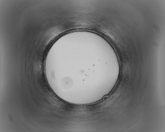 X0000111231259200907301239