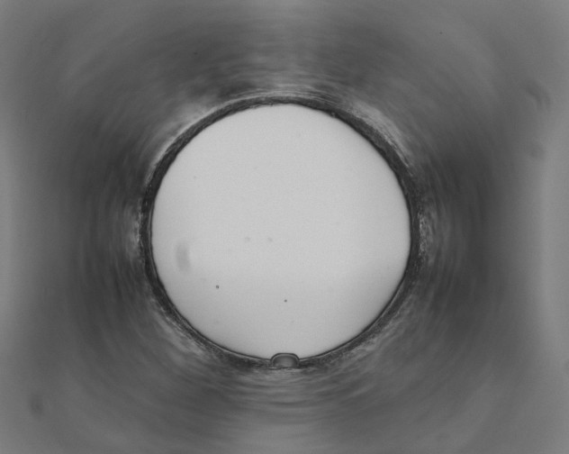 X0000111231260200907301239