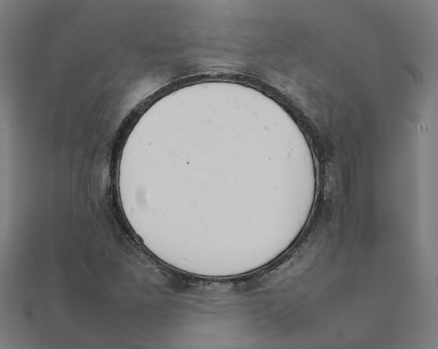 X0000111231261200907301239