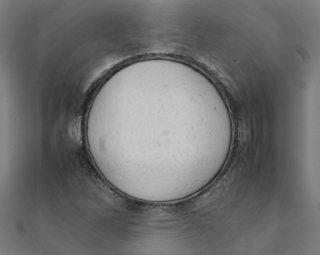 X0000111231262200907301239