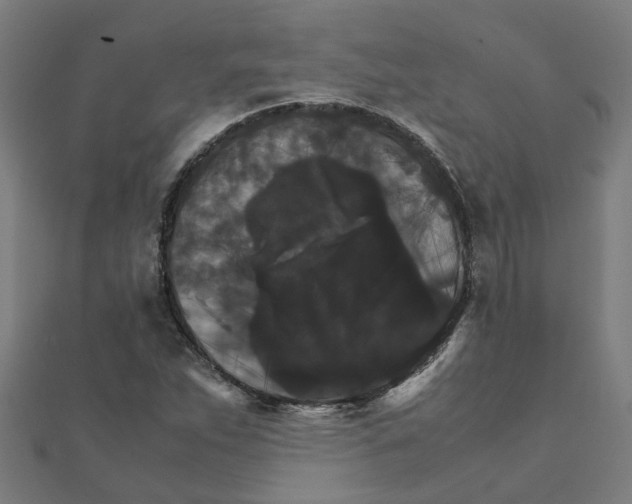 X0000111231263200907301239