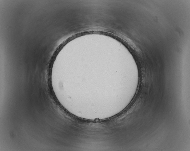 X0000111231264200907301239