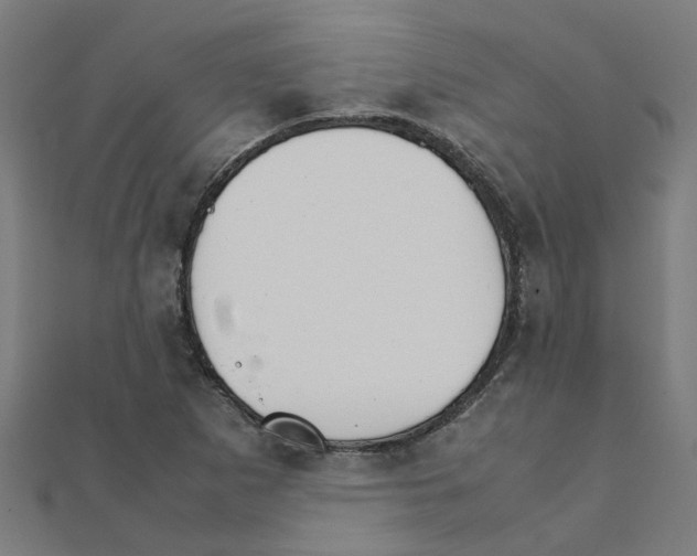 X0000111231265200907301239