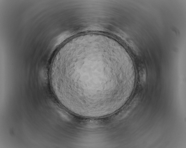 X0000111231266200907301239