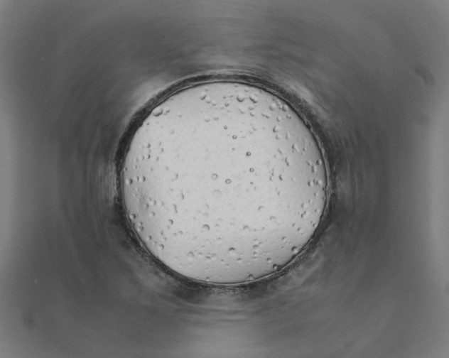 X0000111231267200907301239