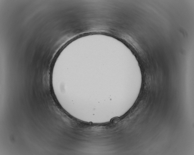 X0000111231268200907301239