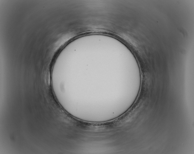 X0000111231269200907301239