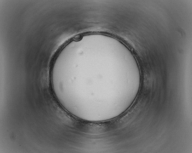 X0000111231270200907301239