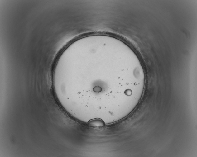 X0000111231271200907301239