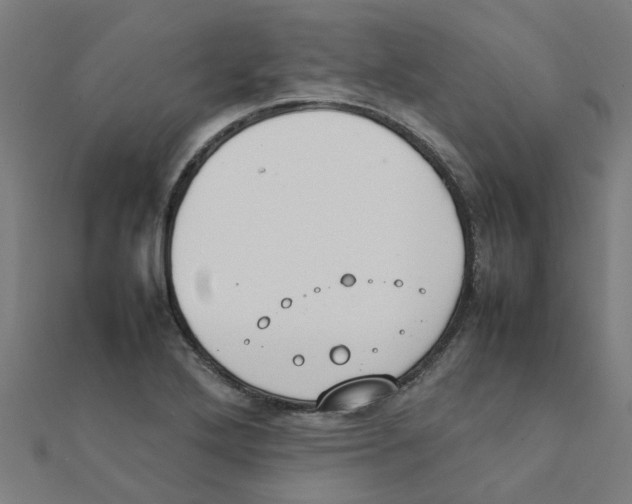 X0000111231272200907301239