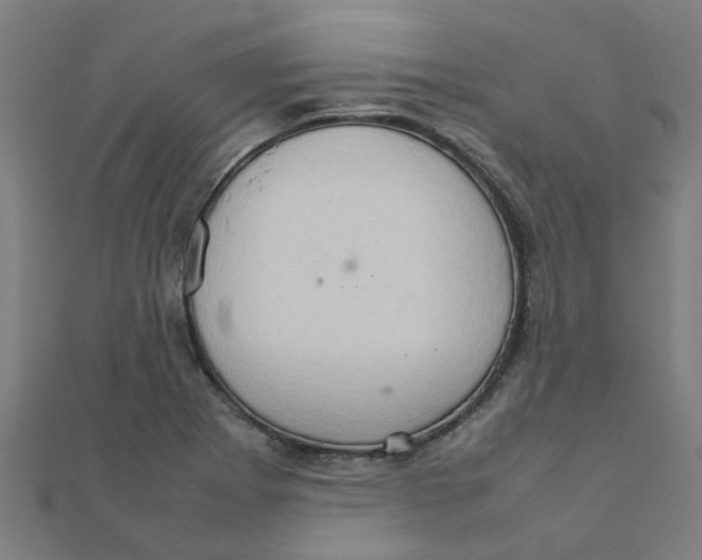 X0000111231273200907301239