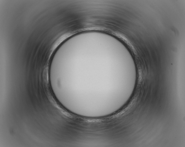 X0000111231274200907301239