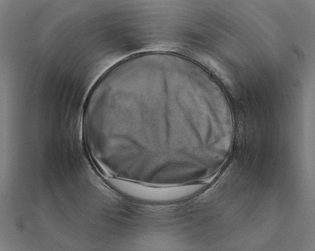 X0000111231276200907301239