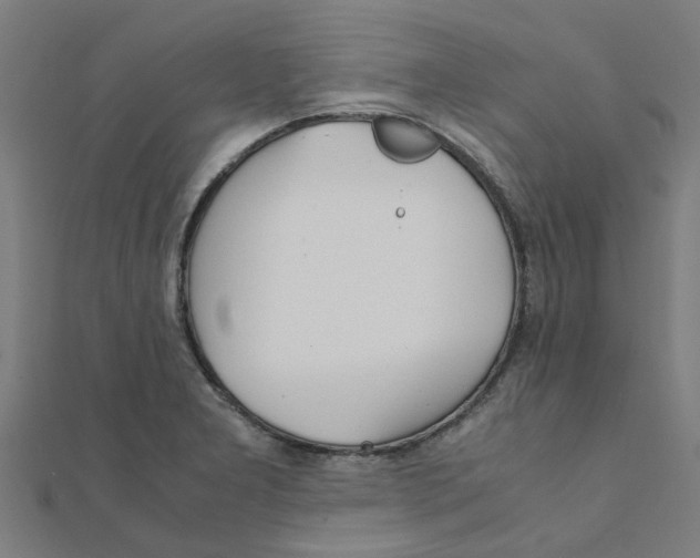 X0000111231277200907301239