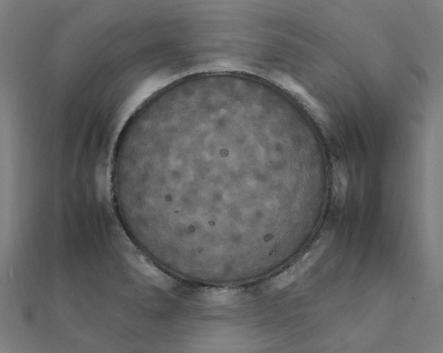 X0000111231278200907301239