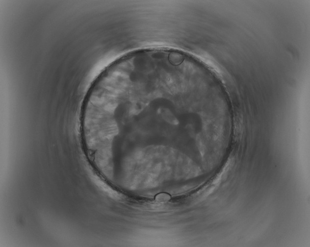 X0000111231279200907301239