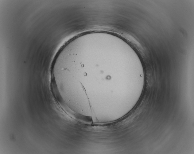 X0000111231280200907301239