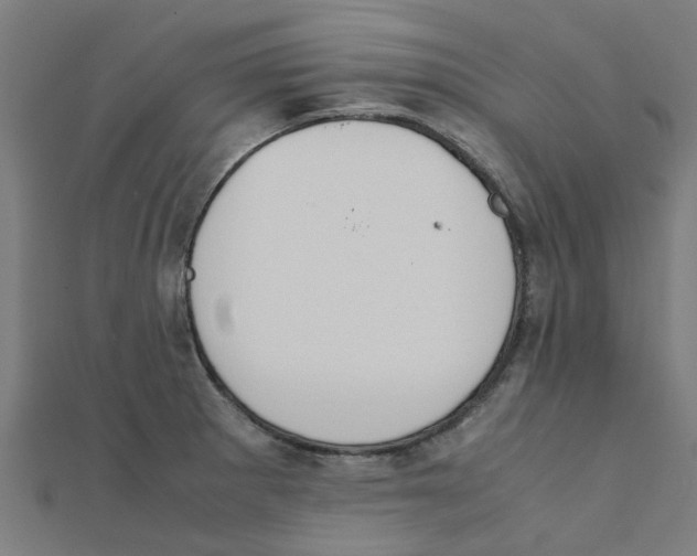 X0000111231281200907301239