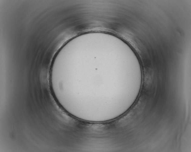 X0000111231282200907301239