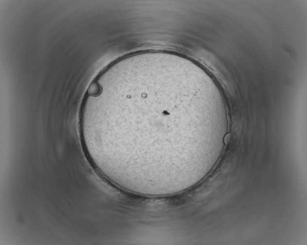 X0000111231283200907301239