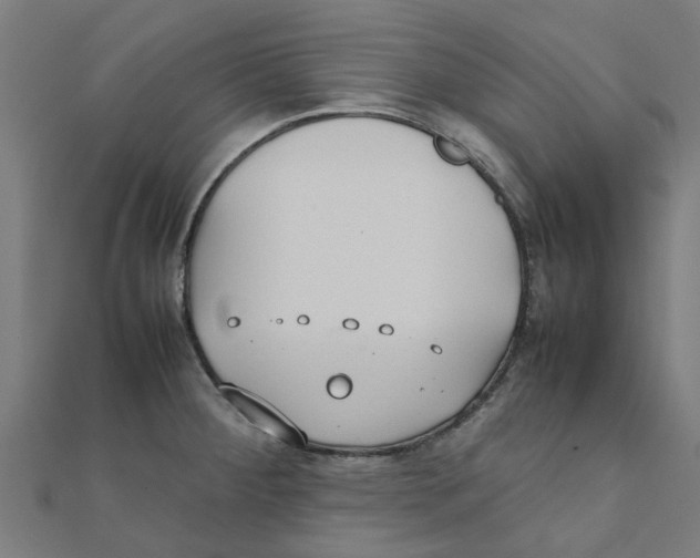 X0000111231284200907301238