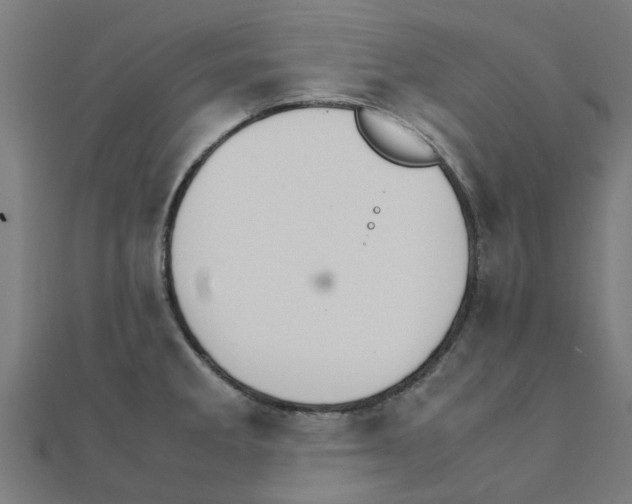 X0000111231285200907301238